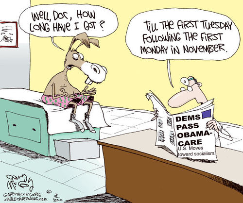 cartoon 3-28 gary mccoy larger.jpg